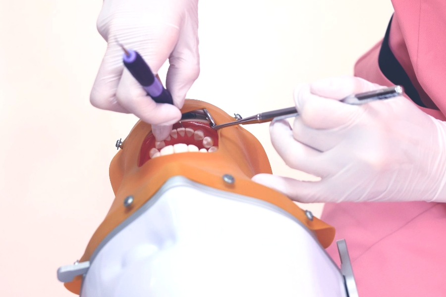 実習に取り組む生徒